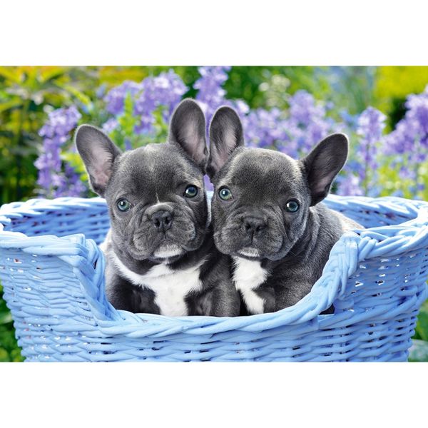 Xếp hình puzzle những chú chó Bulldog, Pháp 1000 mảnh CASTORLAND C-104