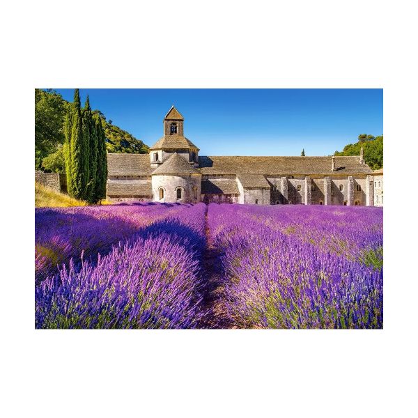 Tranh ghép hình puzzle 1000 mảnh Lavender Field in Provence Castorland