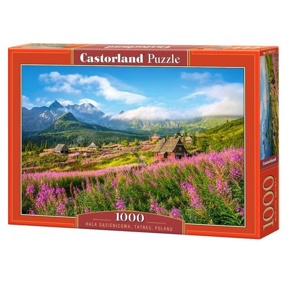 Xếp hình Puzzle Hala Gasienicowa, Tatras, Poland 1000 mảnh CASTORLAND