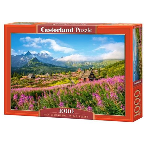  Xếp hình puzzle Hala Gasienicowa, Tatras, Poland 1000 mảnh CASTROLAND C-104512 