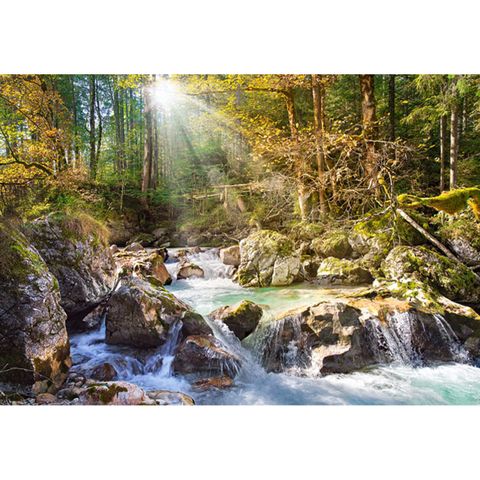  Xếp hình puzzle Sunny forest stream 2000 mảnh CASTORLAND C-200382 