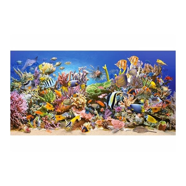 Xếp hình Puzzle Chủ đề Underwater Life 4000 mảnh C4000892