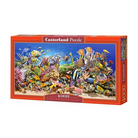  Xếp hình Puzzle Chủ đề Underwater Life 4000 mảnh C4000892 