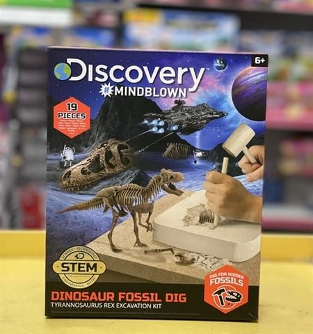  23win08 com Discovery khảo cổ truy tìm xương Khủng long - T.Rex 