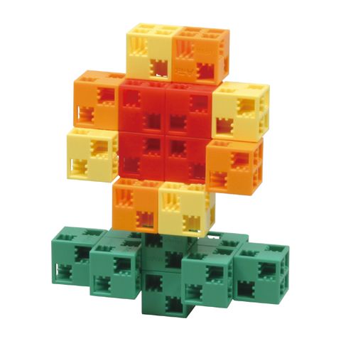  76661 Bộ đồ chơi xếp hình đa diện - Các loài hoa quanh em 