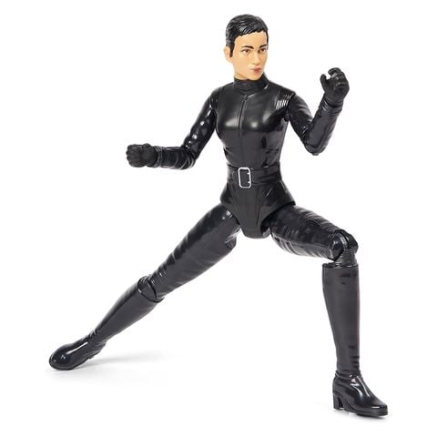  Wingsuit Selina Kyle 