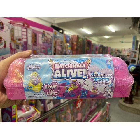  Đồ chơi trứng Hatchimals Alive Family Carton 6067404 