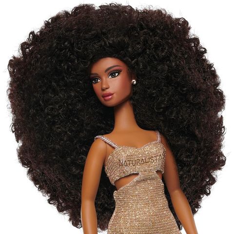  Naturalistas Dayna Fashion Doll 