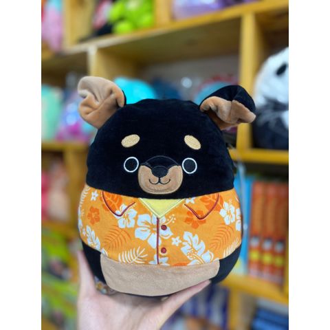  Thú nhồi bông Squishmallows Mateo 25cm 