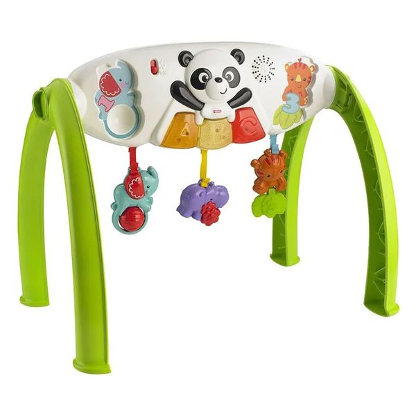 Kệ chữ A thông minh Grow-With-Me Gym Fisher Price Y6588