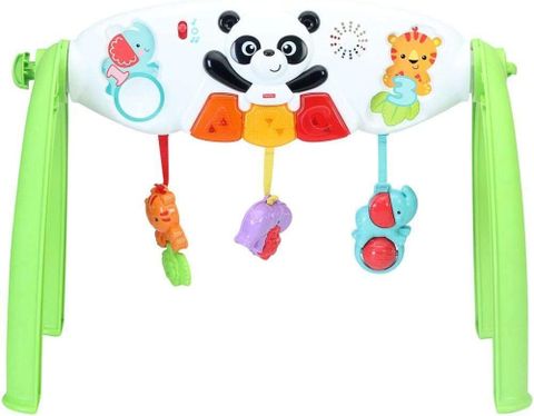  Kệ chữ A thông minh Grow-With-Me Gym Fisher Price Y6588 