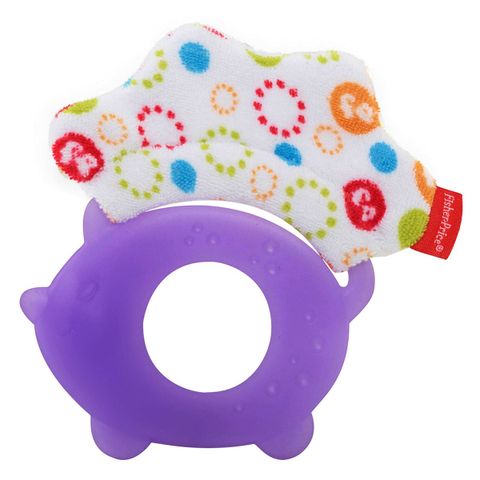  Ngậm nướu nhím con Fisher Price Terry Teether CDT77 