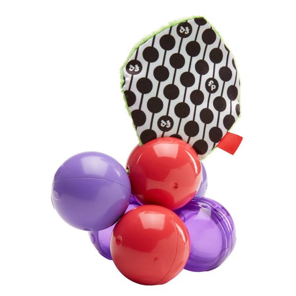 Đồ chơi lục lạc quả nho Fisher Price DRD83