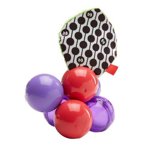  Do choi luc lac qua nho Fisher Price DRD83 