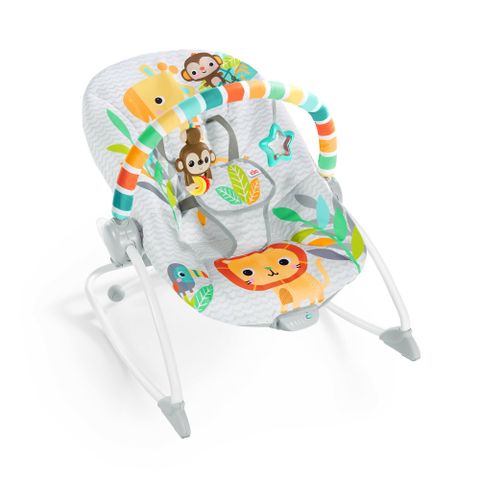  Ghế rung họa tiết động vật hoang dã Bright Starts 12323 
