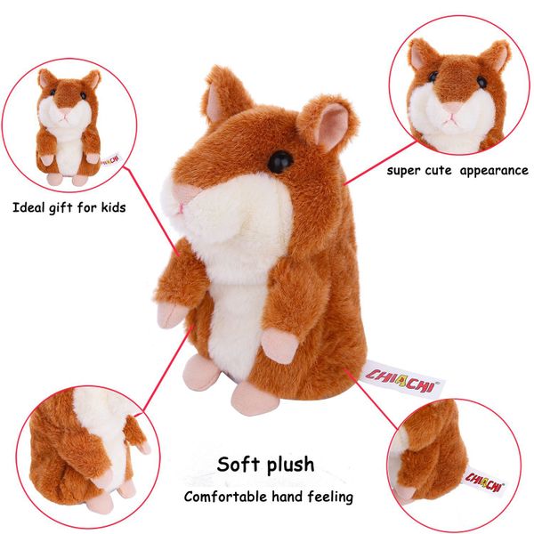 Chuột hamster bông biết nói