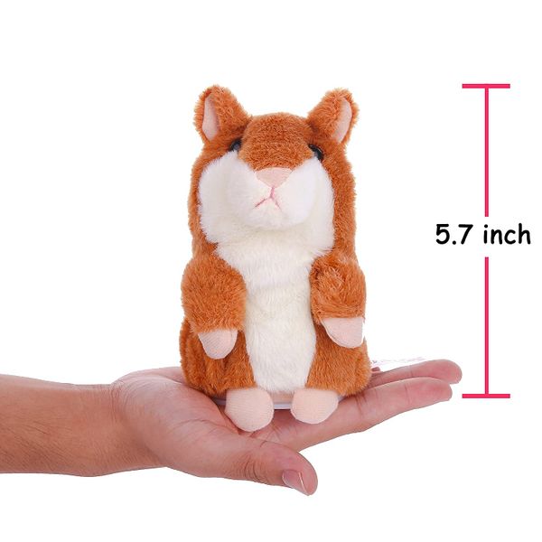 Chuột hamster bông biết nói