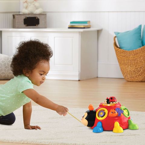  Vtech Crazy Legs Learning Bugs 