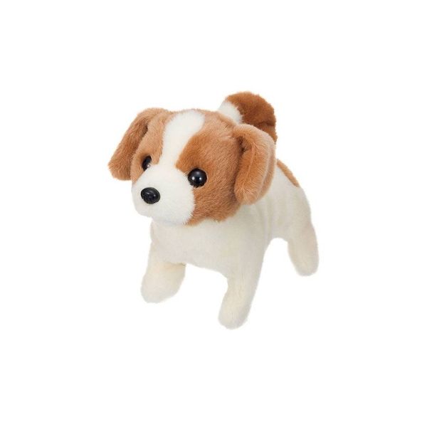 Chó bông biết sủa biết đi Jack Russell Terrier Iwaya.2