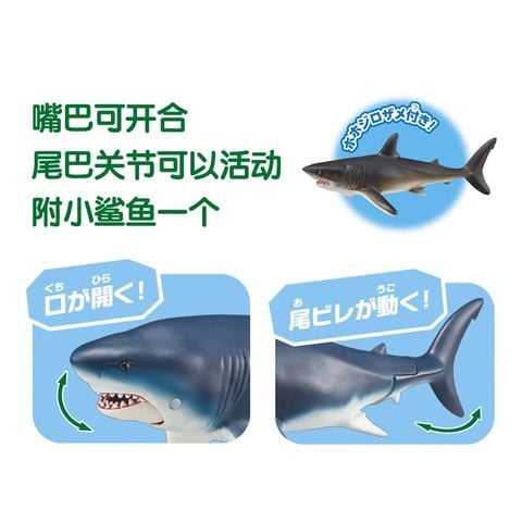  Mô hình cá mập đồ chơi trẻ em AL-11 Megalodon 