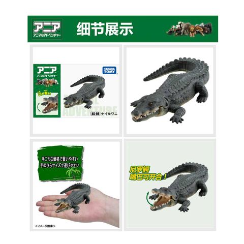  Đồ chơi Mô hình đồ chơi trẻ em Cá sấu AS-08 Nile Crocodile 