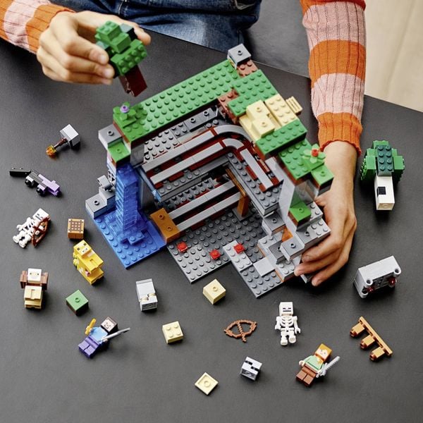  LEGO 21169 The First Adventure 