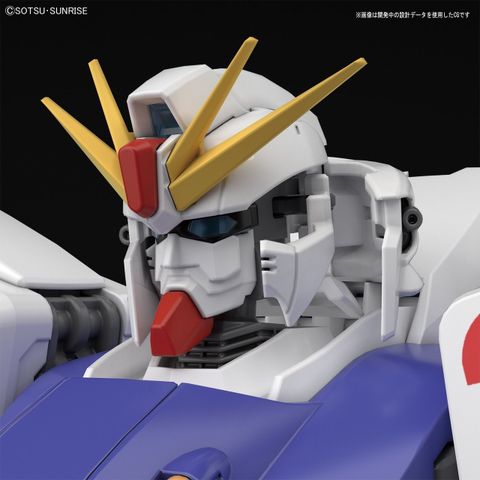  MG Mobile Suit Gundam F91 Gundam ver2.0 