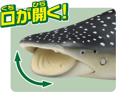  Mô hình Cá mập voi Ania AL-05 Whale Shark 