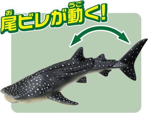  Mô hình Cá mập voi Ania AL-05 Whale Shark 