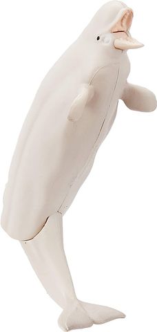  Mô hình cá voi trắng Ania AS-16 Beluga 
