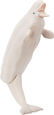  AS-16 Mô hình cá voi trắng Beluga 
