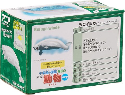  AS-16 Mô hình cá voi trắng Beluga 