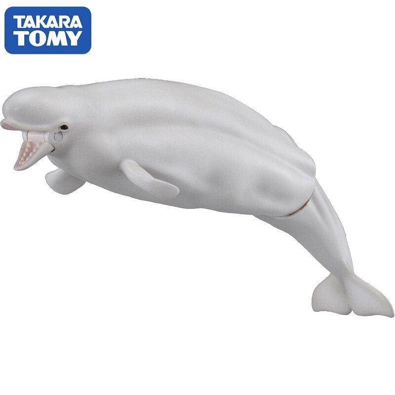 Mô Hình Cá Voi Sát Thủ Giá Tốt T082023  Mua tại Lazadavn
