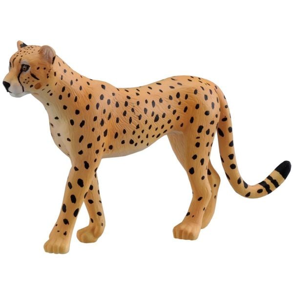  AS-13 Cheetah (Báo đốm) 