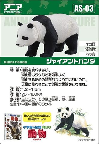  Mô hình Gấu Panda lớn Ania AS-03 Takara Tomy 