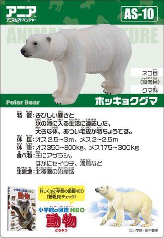  Mô hình Gấu trắng Ania AS-10 Polar Bear 