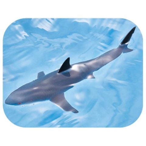  Mô hình đồ chơi động vật cá mập AS-07 Animal Adventure Great White Shark 