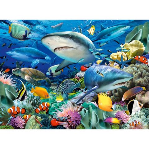  Tranh ghép Ravensburger Puzzle Shark Reef 100 mảnh XXL 