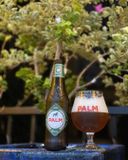 Bia Palm - Bỉ
