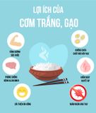  White Rice 