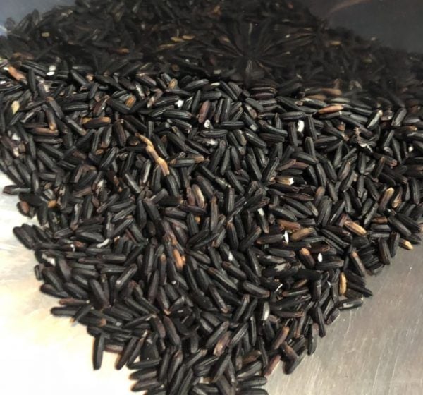  Glutinous - Nếp cẩm 