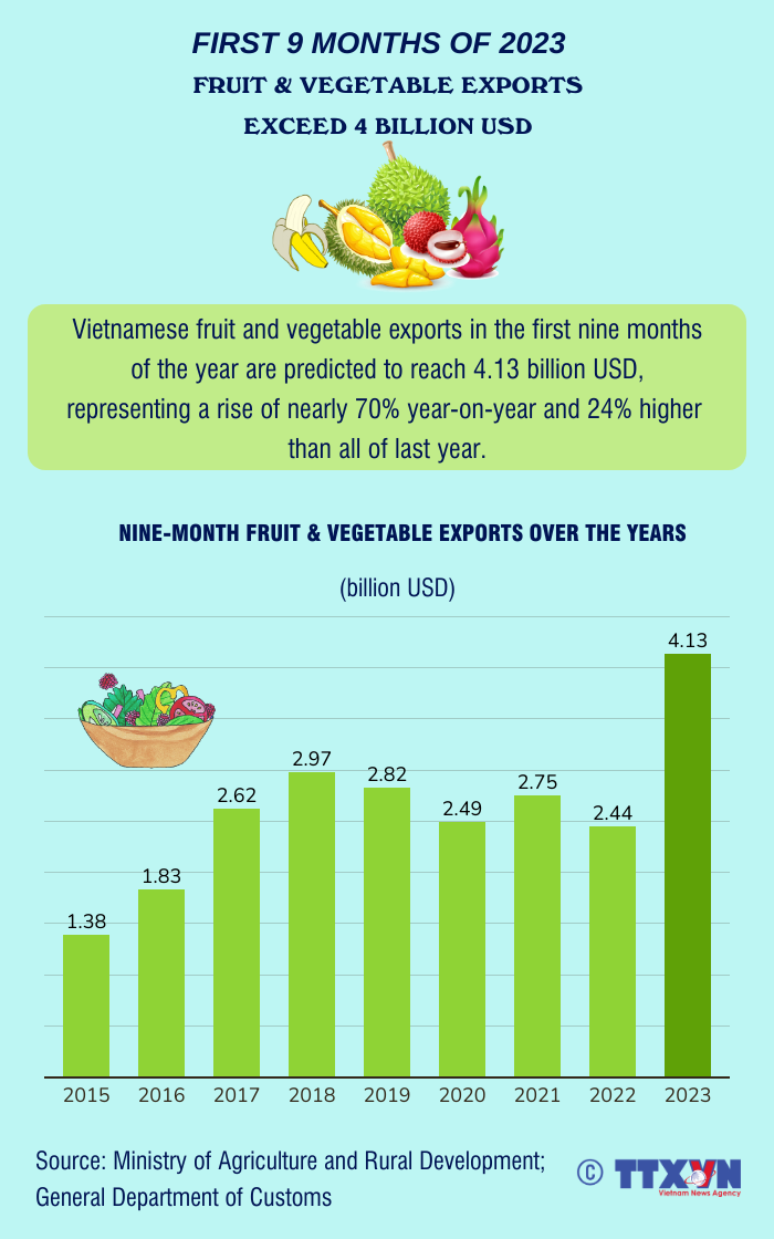  Market News - Fruit 