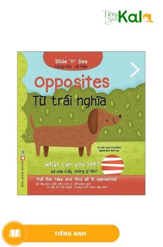Slide And See - Từ Trái Nghĩa
