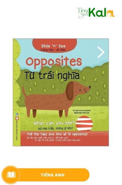  Slide And See - Từ Trái Nghĩa 