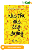  Mùa Thu Của Cây Dương 