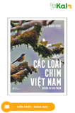  Các Loài Chim Việt Nam (Birds Of Vietnam) 