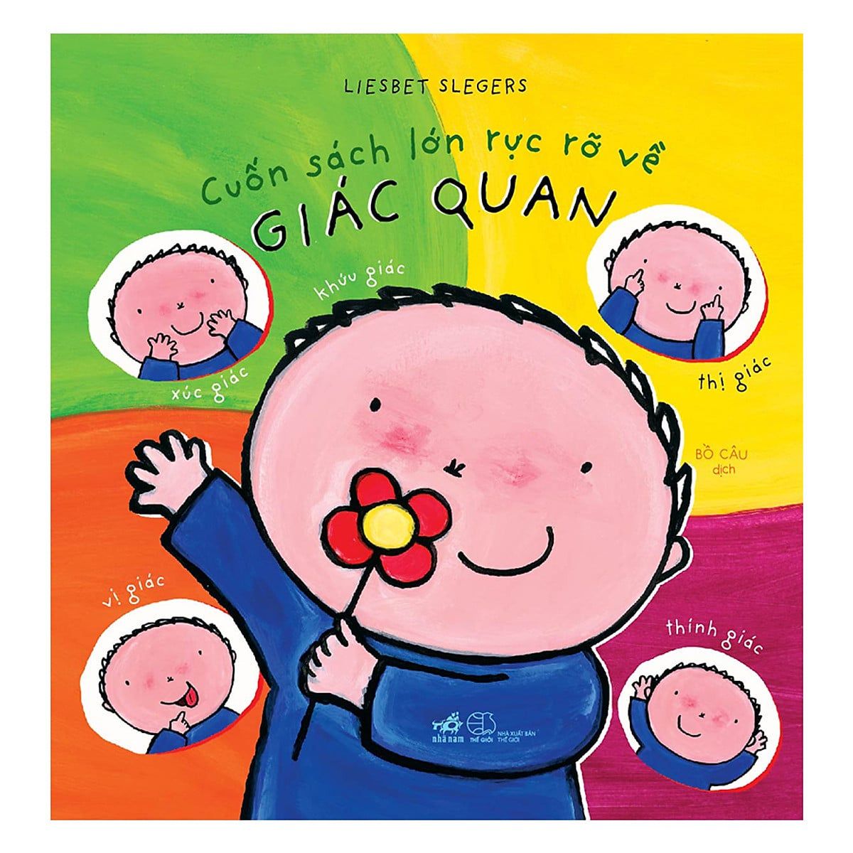  Cuốn Sách Lớn Rực Rỡ Về Giác Quan 