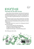  Nhân Tố Enzyme - Phương Thức Sống Lành Mạnh 