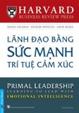  Lãnh Đạo Bằng Sức Mạnh Trí Tuệ Cảm Xúc 