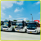  Thuê xe 45 chỗ Bình Dương 